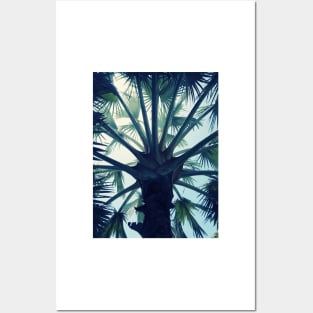 Tropical Tranquillity Posters and Art